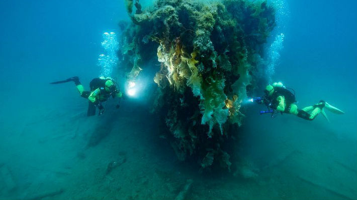 Conoce el proyecto de exploración de océanos que llegará a Chile en 2019 para identificar problemas medioambientales